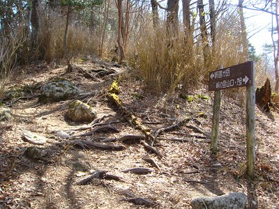 ここから少し登りになる