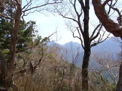 大日岳が見えた