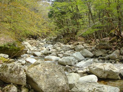 赤井谷の沢に取り次いだ
