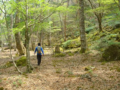 沢筋を歩く