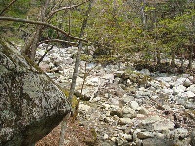 少し沢を登っていくと登山道にでて橋があった