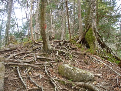 この付近からいよいよ深仙ノ宿への登りがはじまる
