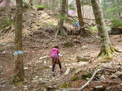 この付近から少しの間、急登がはじまる