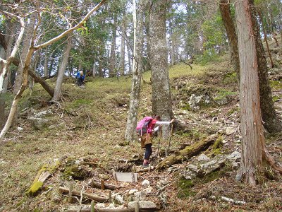 標高が一気にあがっていくので少し息切れる斜面だった