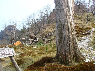 大日岳を目指す
