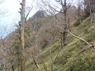 見えているがちょい２つほどピークを越える