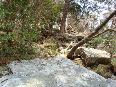 こっちが正規ルート