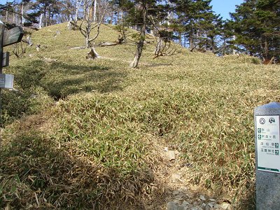 千丈平との分岐のところまできた。ここからあと0.2km