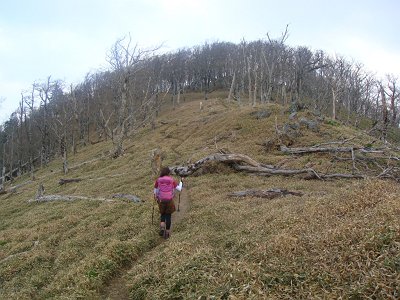 登りは急登そうにみえて意外に楽