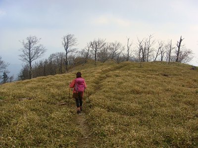 積雪時の時とは全く別の景色だった