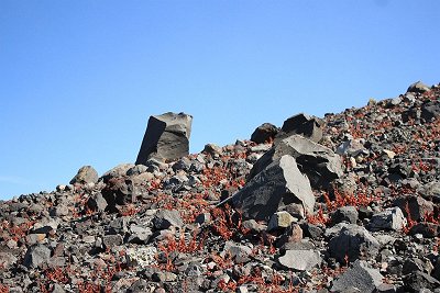 こんな感じのところを登っていく・・・この岩は千トン岩というらしい？足場悪く、空気薄いので息も切れる
