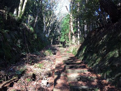 このような階段状になった道が続く