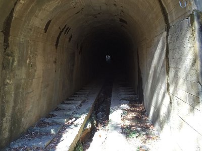 トンネル内はこんな感じだが、短いのでヘッドライトはいらない