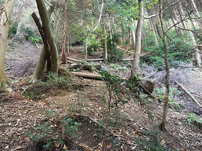 五号トンネルの巻きはじめはかなりの急登。踏み跡とトラロープがしてあった