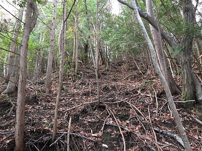 こんな感じに無理矢理登る