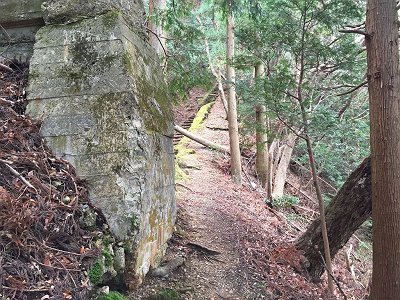 廃線跡がまた現れた