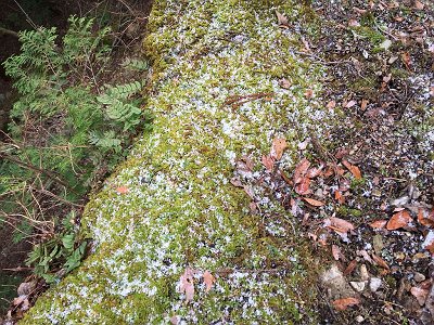 ちらほら雪があった