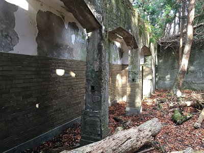 これが愛宕山ホテル？の廃墟