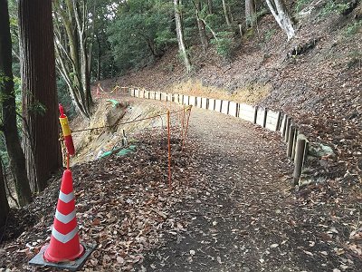 ここが崩壊して展望開けた場所。かなり崩れたっぽい