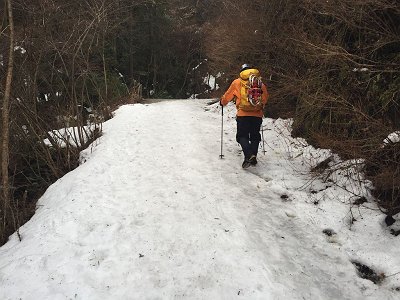 林道にはまだ雪が残っていた。朝方なのか結構パリパリ
