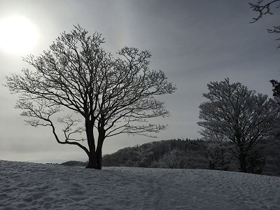 なんか幻想的な天気