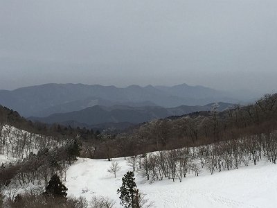 前山直下から北側アップ