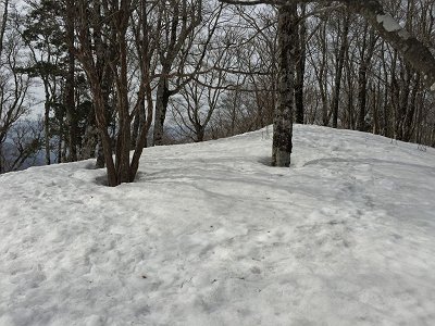 前山のトップは何の表示もなし