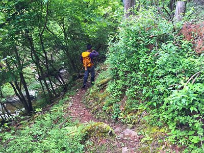 とりあえず登りの尾根まではなだらかな登り