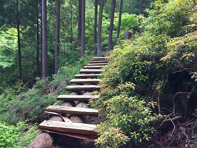 林業用につくられた橋。このまま林業道を進んでいきますが、進みすぎると行きすぎになります