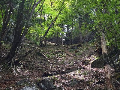 ここが最後の登りで一番キツかったところでした。ズルズル滑る急登。岩場の付近はルートが取りにくい。テープがあったので探しながら登ります