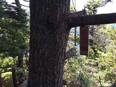 強力の頭に到着