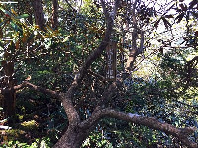 ちょっとわかりにくいところに新しい札があった