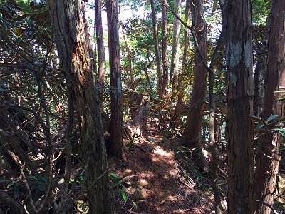 さあ下山します