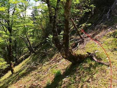 斜面をこのようにトラバースします