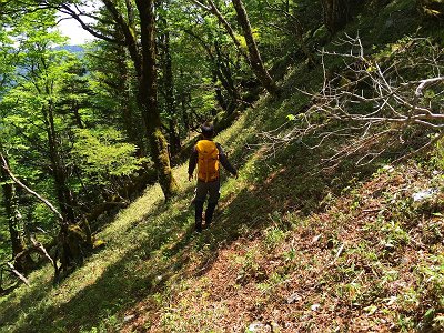 トラバースは結構な斜面で滑りやすかった