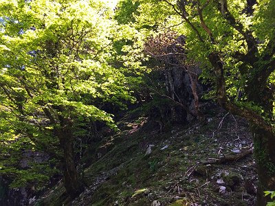裏側のコルに到着したが、次のピークは岩場になっていたので登るの付加。をどう登ればよいのか考える