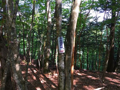 ここにきてはじめて看板がでてきたが「奈良縣」って県が昔の字だが、いつのものなんだ！？