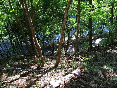 おぉ～やっと国道309号線の道路が見えた