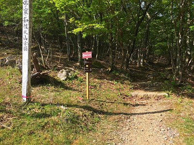 せっかくなので和佐又山も登る