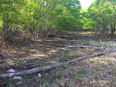 なんだかすごいジグザグ登り