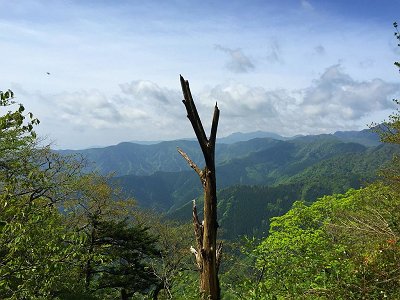 このあたりからは大峰の山々が望めるようになる