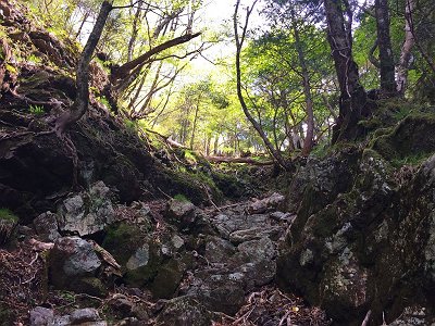 ここからようやく普賢3兄弟への登りにさしかかる