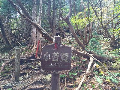 小普賢岳のコルに到着。私は以前もいったのでパスした