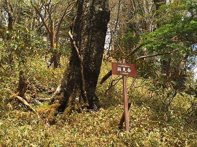 続いて国見岳。ここも以前いったのでピークハントはパス