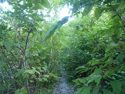 ここは嫌なので走り抜けました