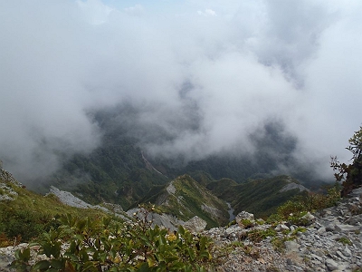 今度は南側がガスりました