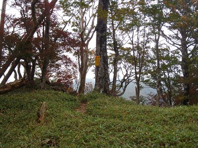 大峯奥駈道に出た