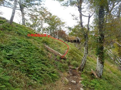 行者還岳は大峯奥駈道のここを左に折れる