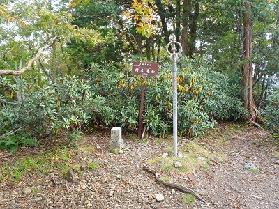 行者還岳(1546m)に到着