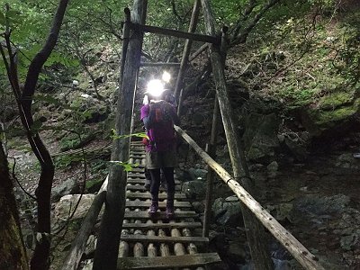 樹林帯の中は暗いのでヘッドライト装備。橋を渡ってまたあのキツイ尾根を登っていくのかと思ったが、沢筋のルートでいくことになった